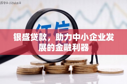 原阳银盛贷款，助力中小企业发展的金融利器