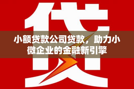 临沧小额贷款公司贷款，助力小微企业的金融新引擎