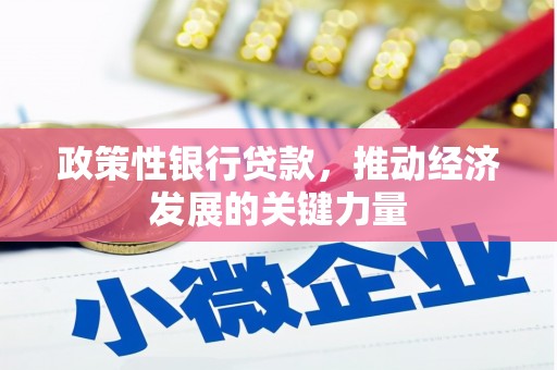 安居政策性银行贷款，推动经济发展的关键力量