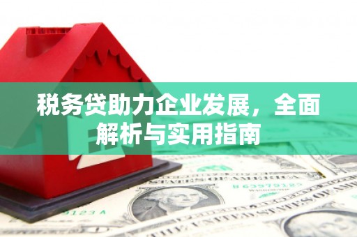 彰武税务贷助力企业发展，全面解析与实用指南