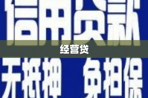 西丰经营贷