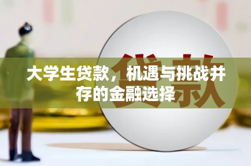 黄石港大学生贷款，机遇与挑战并存的金融选择