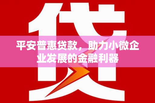 徐水平安普惠贷款，助力小微企业发展的金融利器