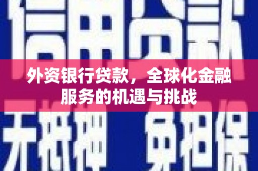 岳西外资银行贷款，全球化金融服务的机遇与挑战