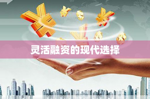 保德灵活融资的现代选择