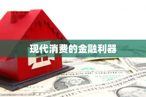 港南现代消费的金融利器
