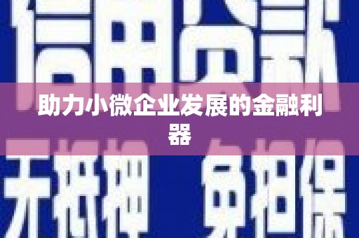 岱岳助力小微企业发展的金融利器