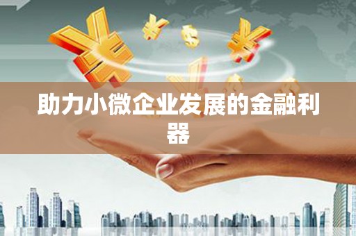 大村助力小微企业发展的金融利器