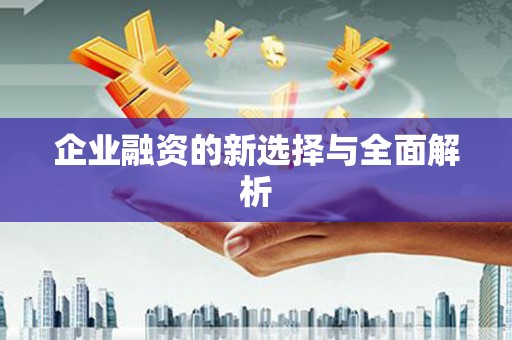 新会企业融资的新选择与全面解析