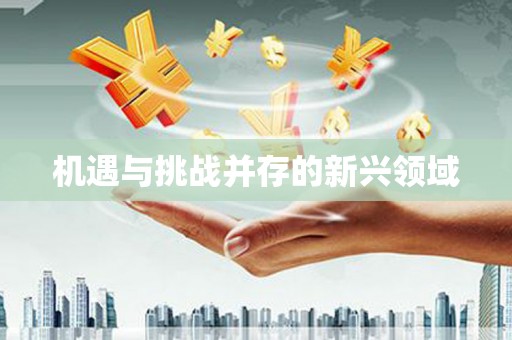 五台机遇与挑战并存的新兴领域