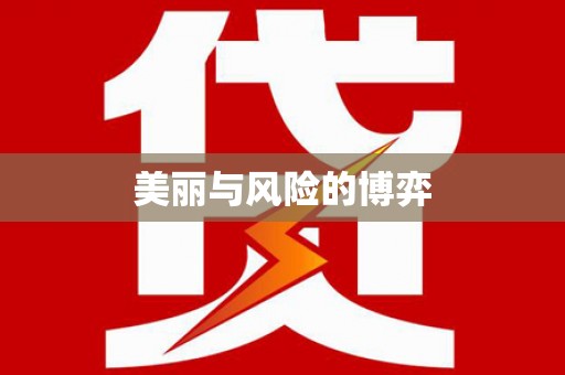 南宫美丽与风险的博弈