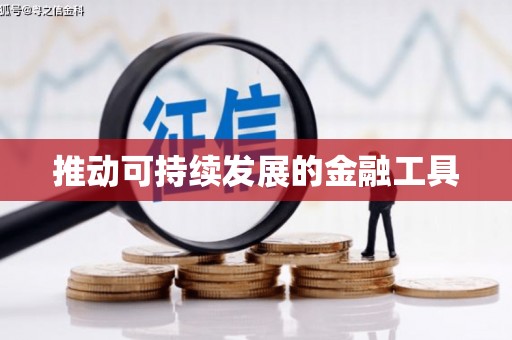 新会推动可持续发展的金融工具