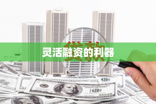 赫山灵活融资的利器