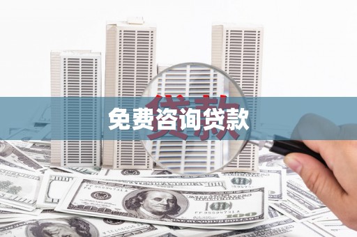 洋县免费咨询贷款