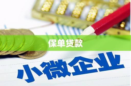 广水保单贷款 广水保单贷款